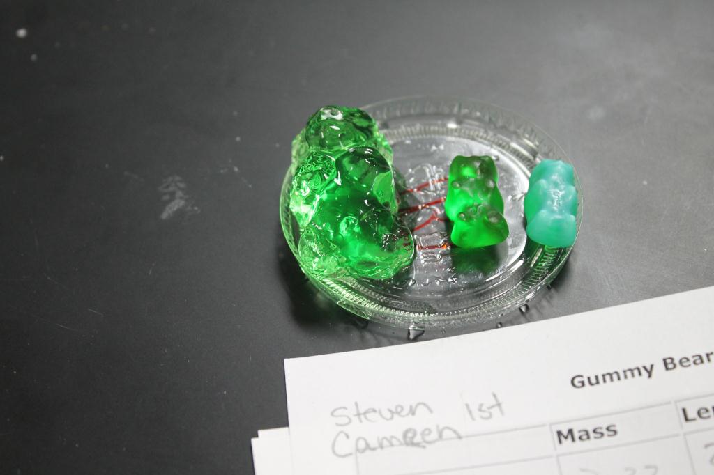 Omosis Gummy Bear Lab